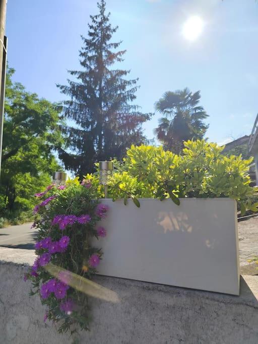 Studio Apartman Tadic Matulji Exterior foto